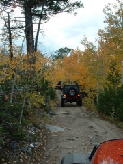dave_in_the_aspens_part_2