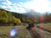kendall_in_the_meadow