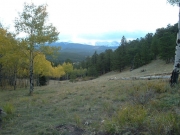 scenery_again