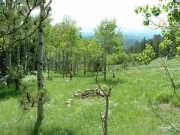green_meadow