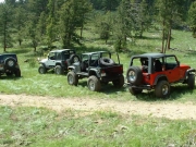 jeeps_at_the_meadow