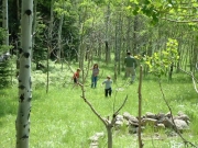 wildflower_hunting
