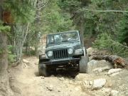 bob_on_the_rocks