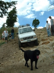 brian_on_nugget_hill_part_4