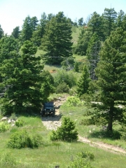 austin_on_a_hill