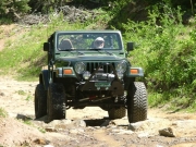 austin_on_the_trail