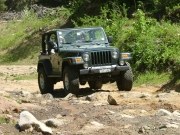 bob_r_on_the_trail
