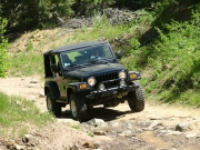 dave_on_the_trail