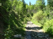 green_trail