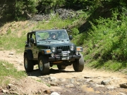 ladd_on_the_trail