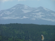 view_from_the_overlook_part_2