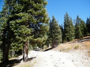 early_trail
