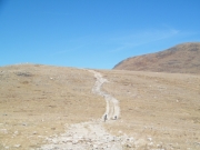 goats_part_1