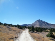 mount_guyot