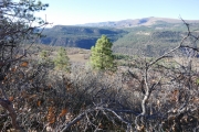 canyon_view_part_2