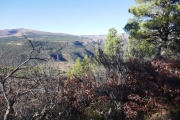canyon_view_part_3