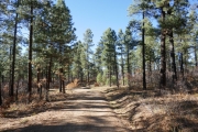 easy_trail