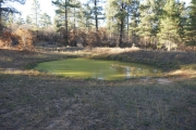 green_pond
