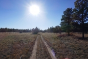 into_the_sun