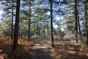 little-used_trail