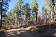 start_of_the_trail
