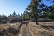two-track