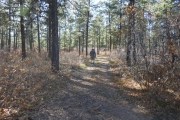 walking_to_the_end