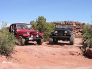 baby_jeeps