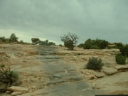 the_trail