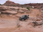 bob_on_the_trail