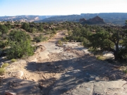 trail_through_colors