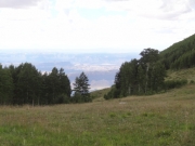big_view