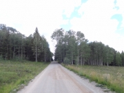 easy_road