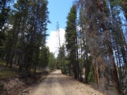 mellow_trail