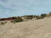 ladd_in_the_distance