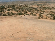 skyline_drive