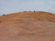 climb_up_skyline_drive