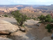 view_from_body_snatcher