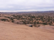 bob_in_scenery