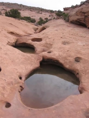 water_hole_part_1