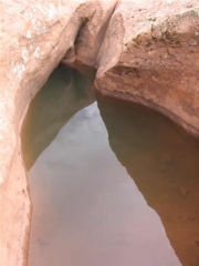 water_hole_part_3