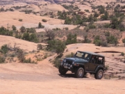 bob_on_the_trail