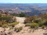 colorado_river