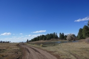 cow_pond