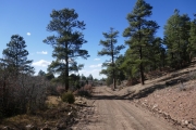 easy_trail