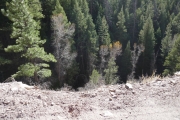 edge_of_the_road