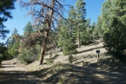 gutshall_trail