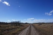 rutted