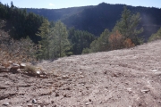switchback