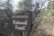 uncompahgre_national_forest_sign
